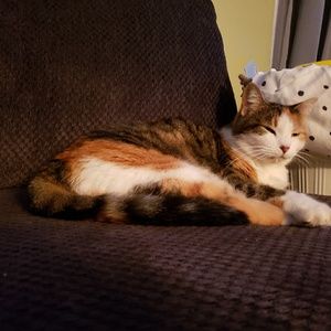 Meet your Posher, Jess